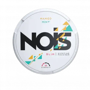 Nois Nicotine Pouches Pack of 10 - Wholesale Price !