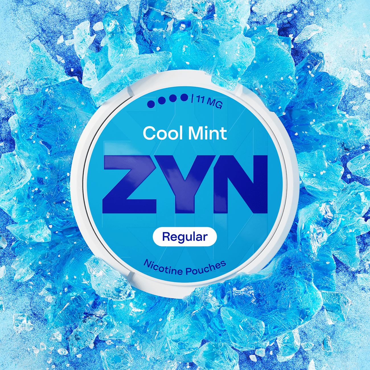 ZYN Nicotine Pouches Pack of 5 - Wholesale Price !
